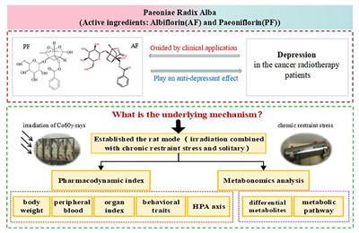 Study of Antidepressant-Like Effects of Albiflorin and Paeoniflorin Through Metabolomics From the Perspective of Cancer-Related Depression